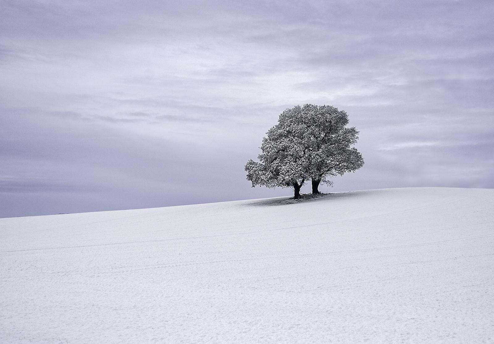Adrian Moore (England) First Dusting Of Snow